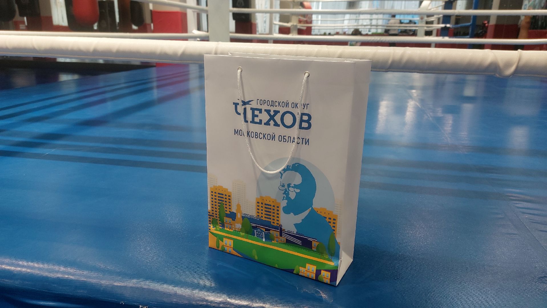 Бокс, Спорт, спорт подмосковья,