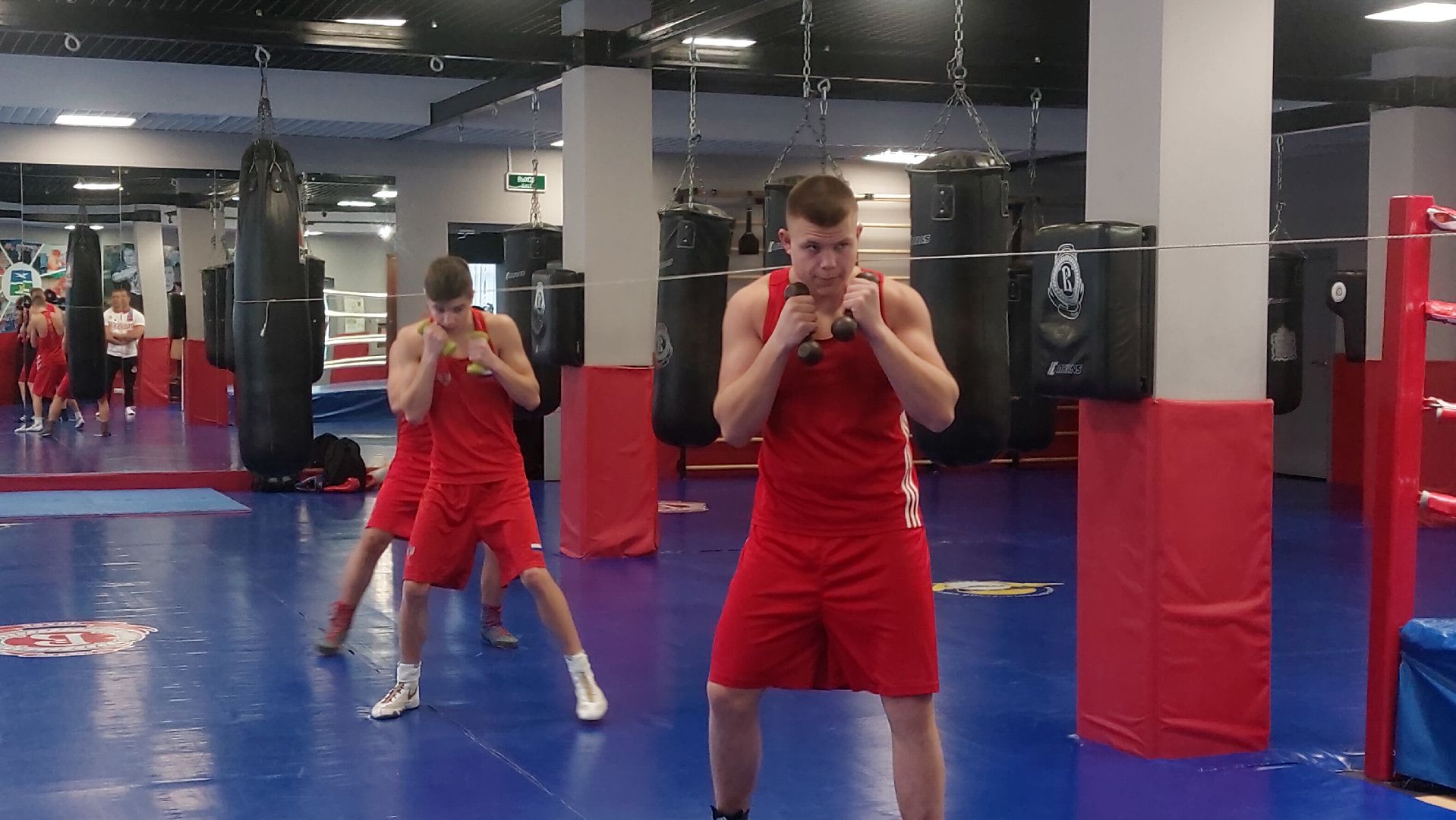 Бокс, Спорт, спорт подмосковья,