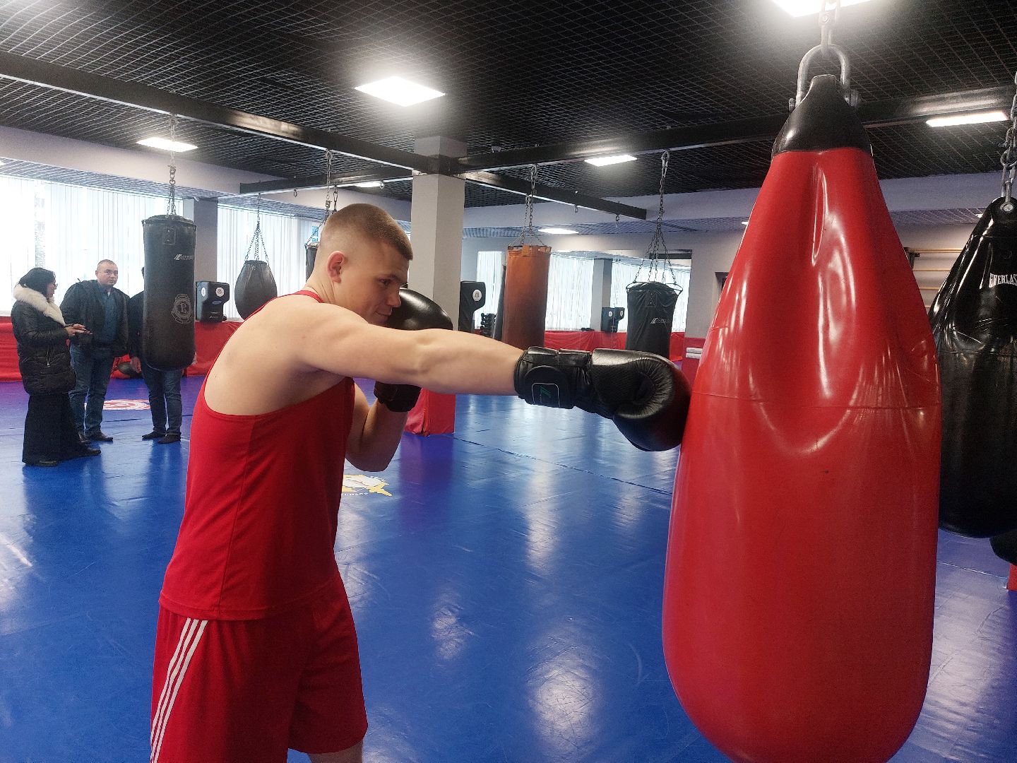 Бокс, Спорт, спорт подмосковья,