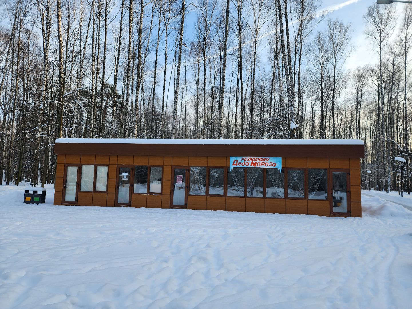 Богородские парки, Новый год, каток, Ногинск, Богородский городской округ,