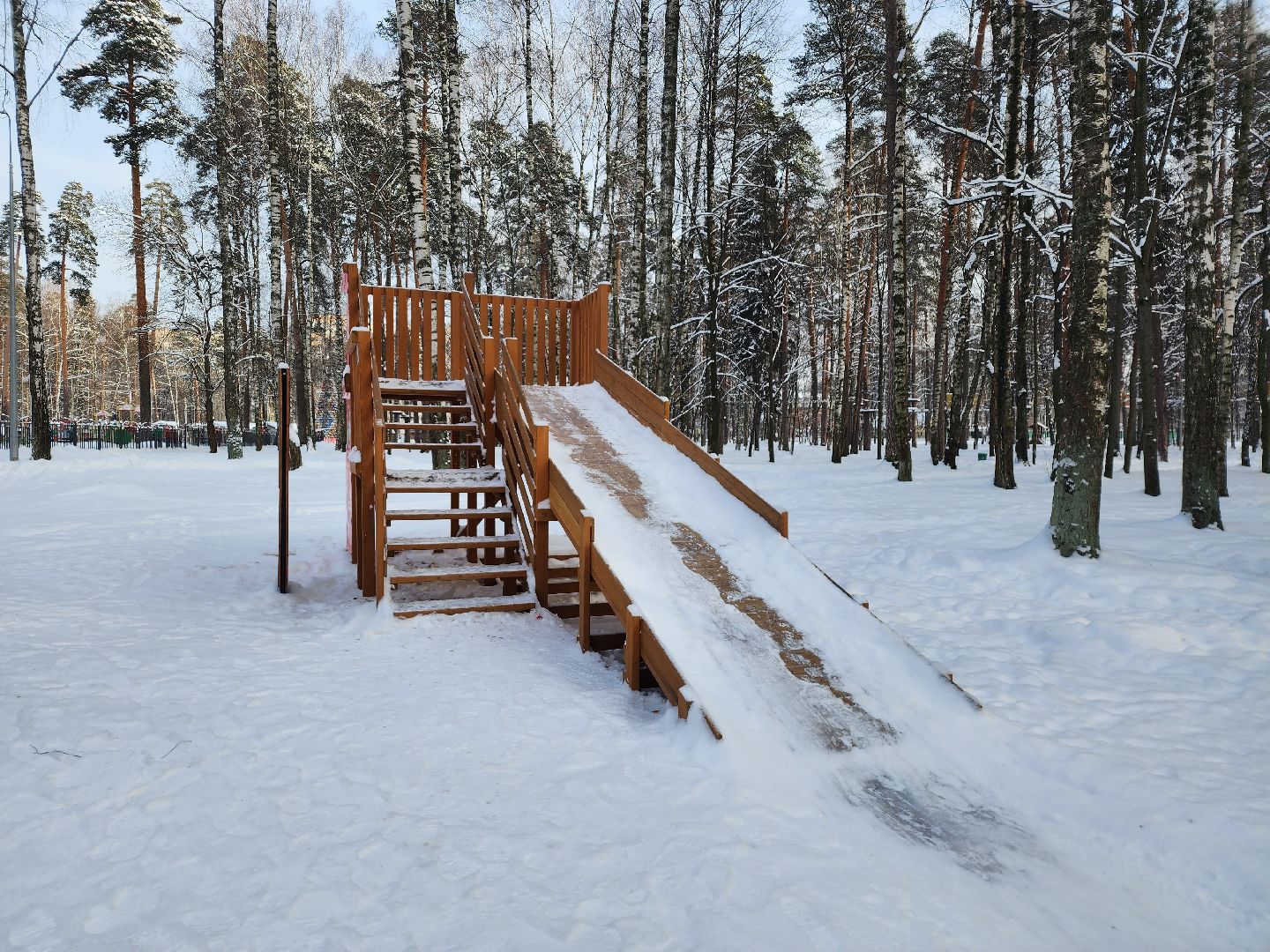 Богородские парки, Новый год, каток, Ногинск, Богородский городской округ,