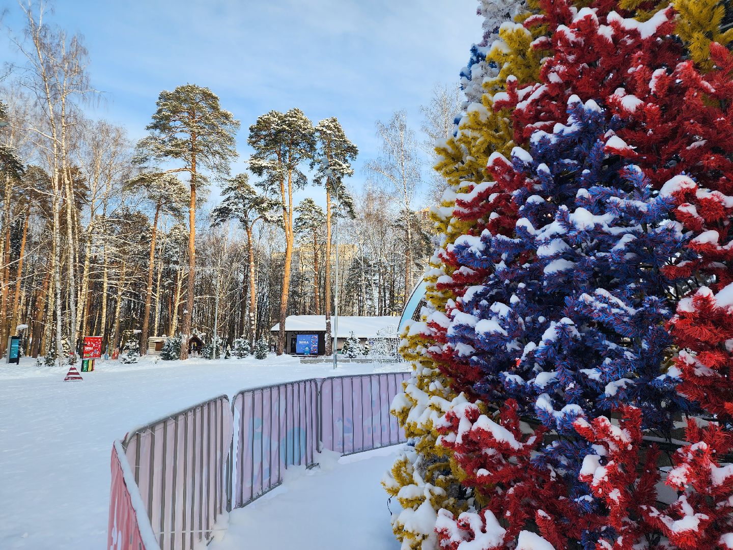 Богородские парки, Новый год, каток, Ногинск, Богородский городской округ,