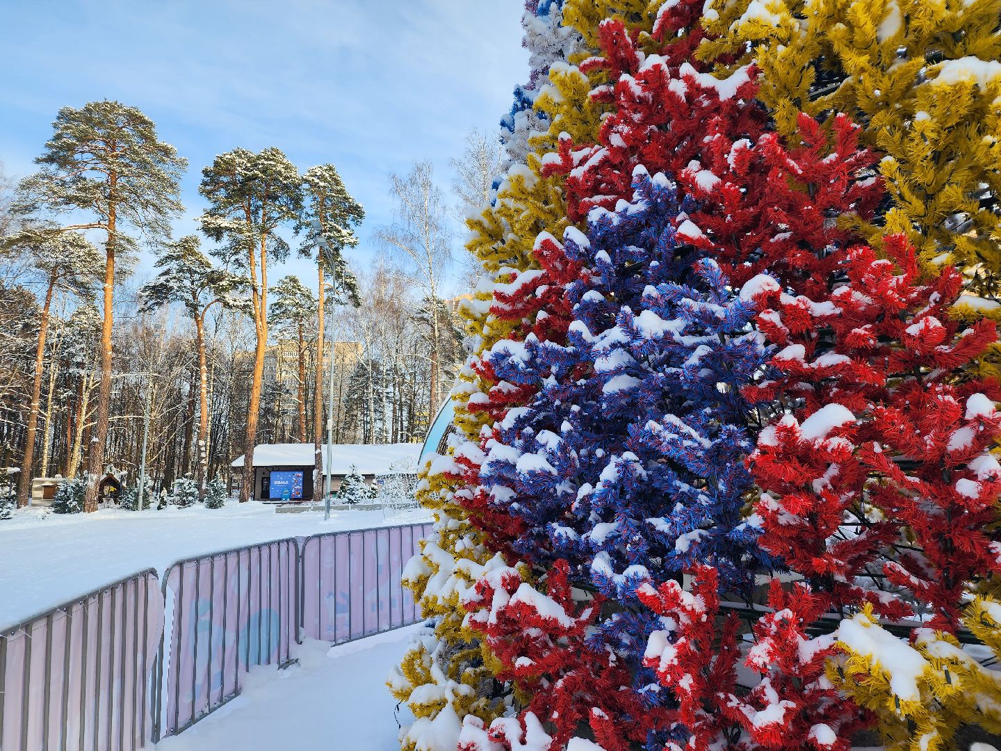 Богородские парки, Новый год, каток, Ногинск, Богородский городской округ,