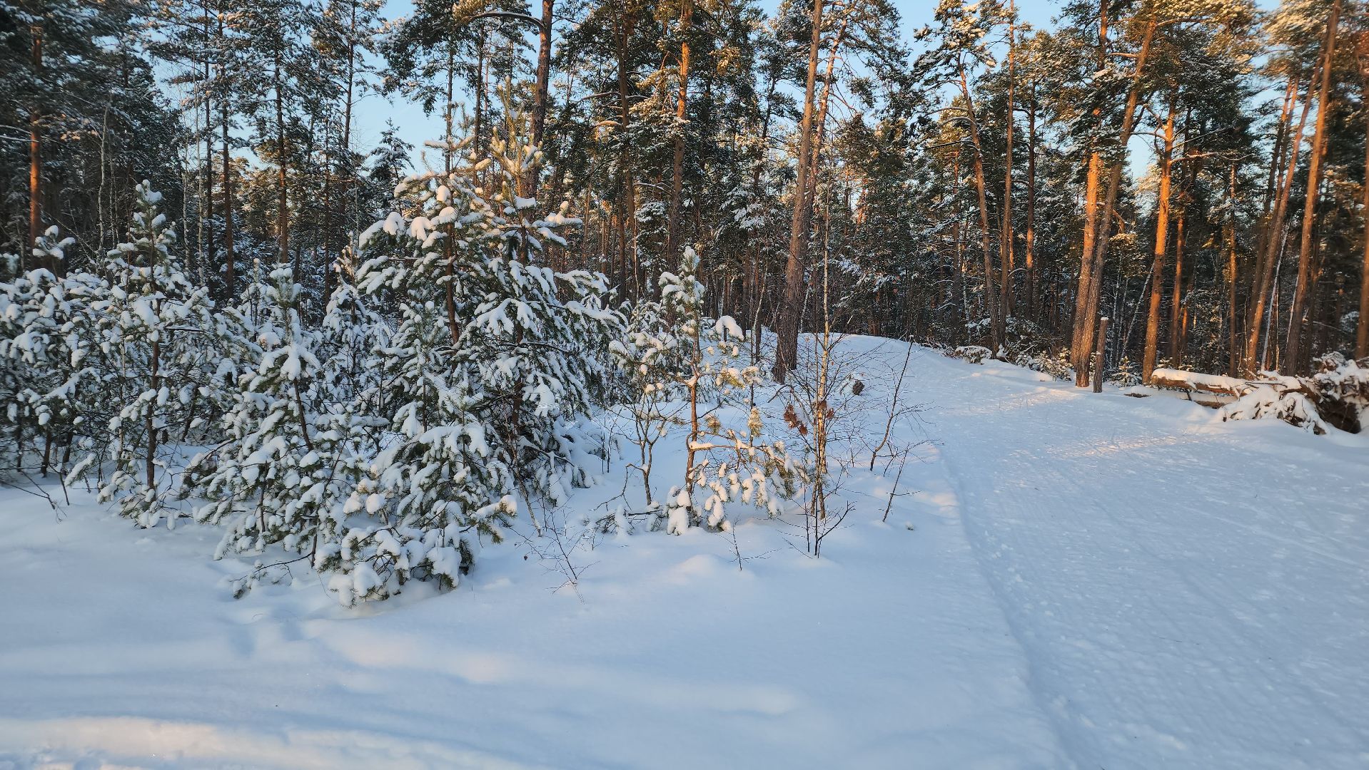 ступино, лыжный сезон, лыжные гонки,