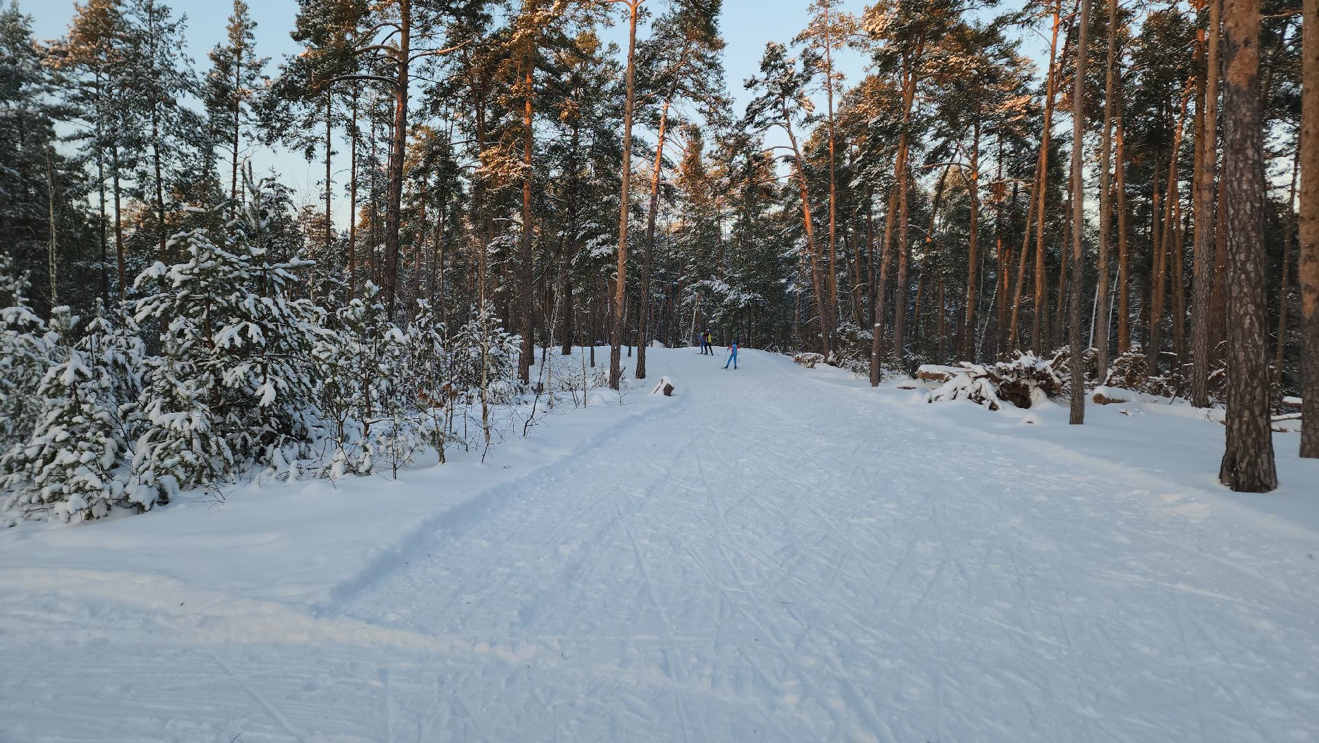 ступино, лыжный сезон, лыжные гонки,