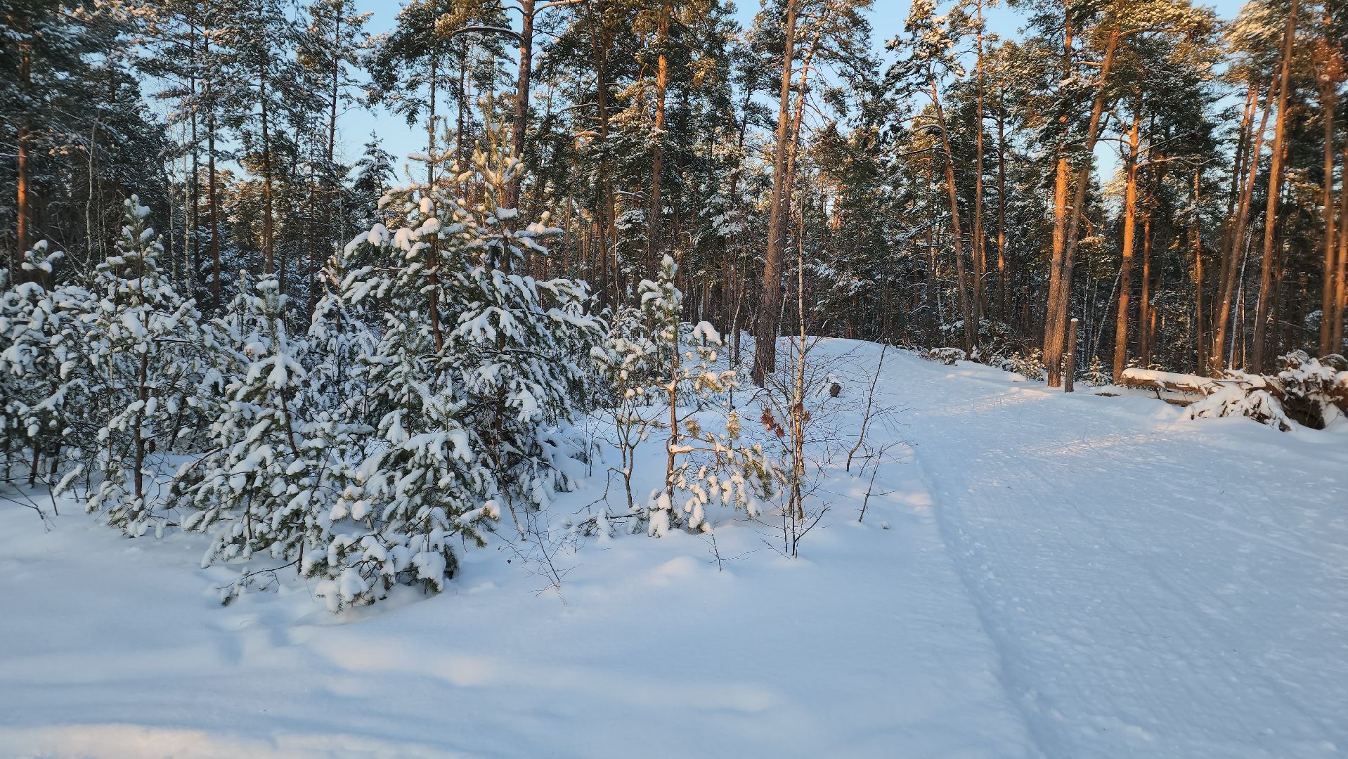 ступино, лыжный сезон, лыжные гонки,