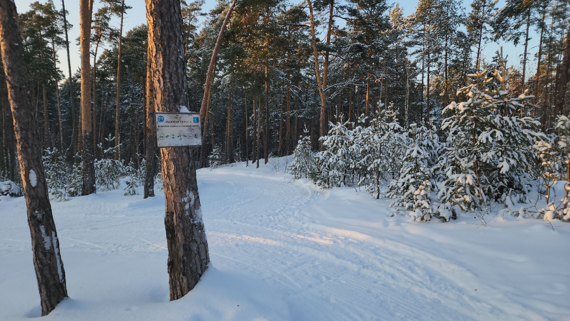 ступино, лыжный сезон, лыжные гонки,