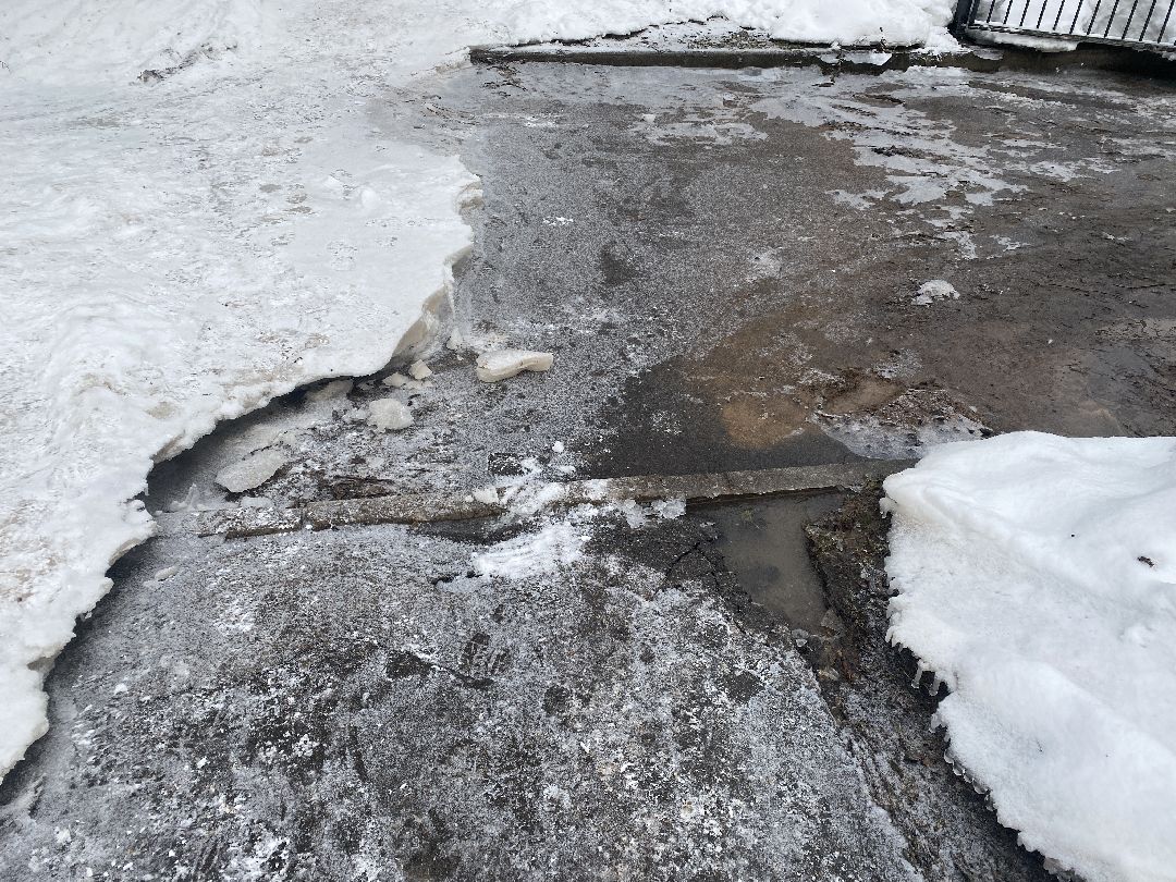 Долгопрудный, общество