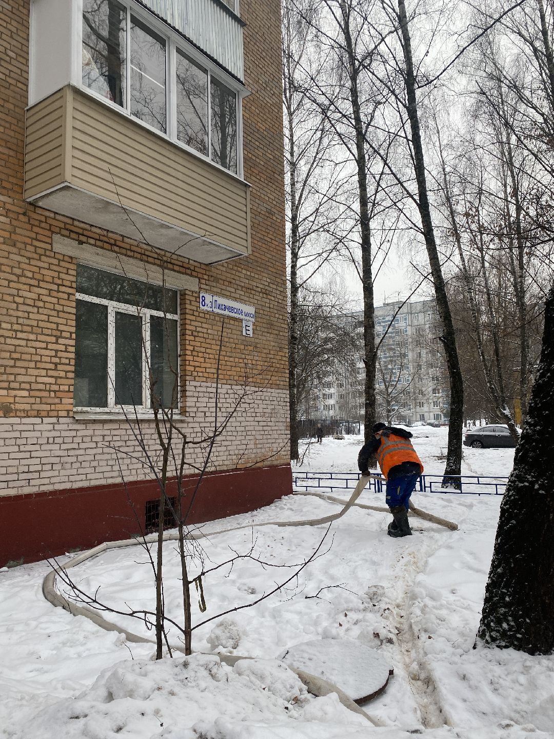 Долгопрудный, общество