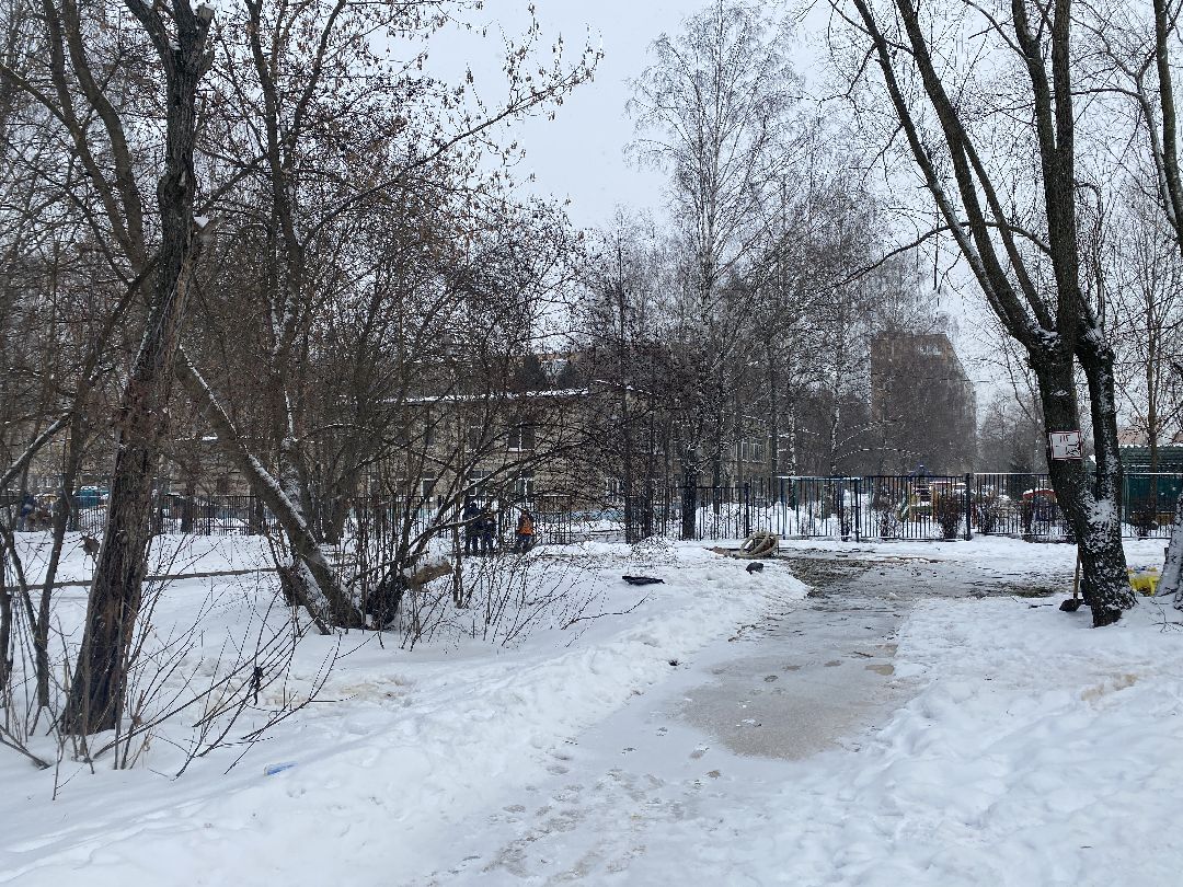 Долгопрудный, общество