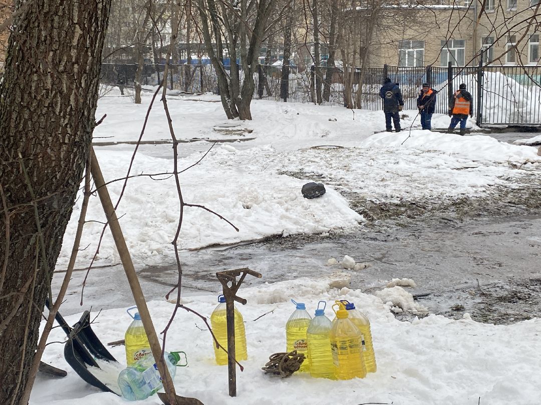 Долгопрудный, общество