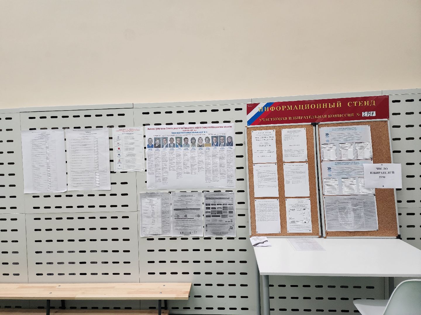 Серпухов, Подмосковье, выборы, Большой Серпухов,