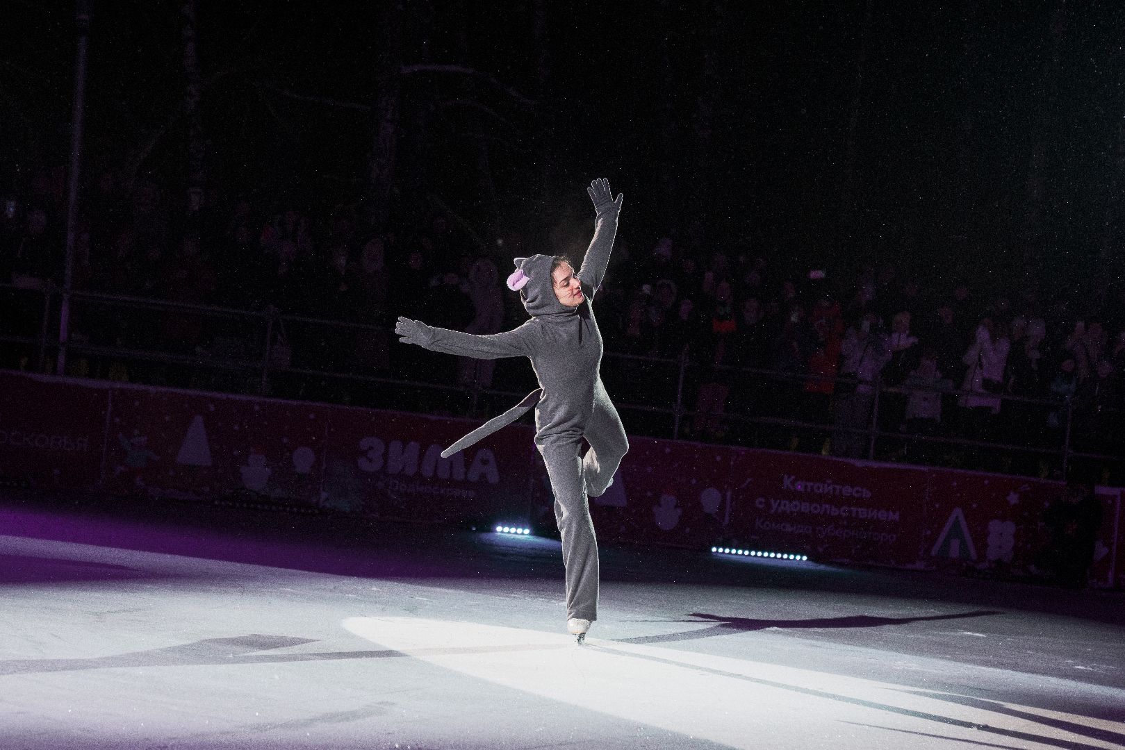 ледовое шоу, илья авербух, Алексей Ягудин, зима в подмосковье, Домодедово,