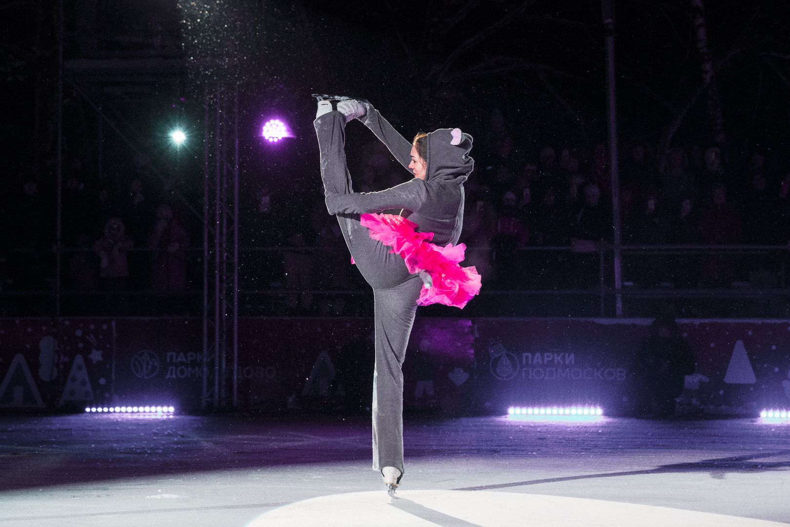 ледовое шоу, илья авербух, Алексей Ягудин, зима в подмосковье, Домодедово,