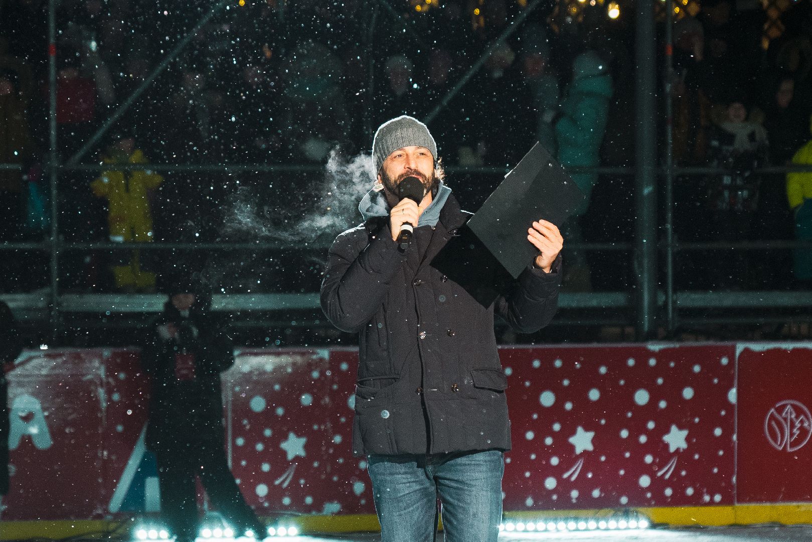 ледовое шоу, илья авербух, Алексей Ягудин, зима в подмосковье, Домодедово,
