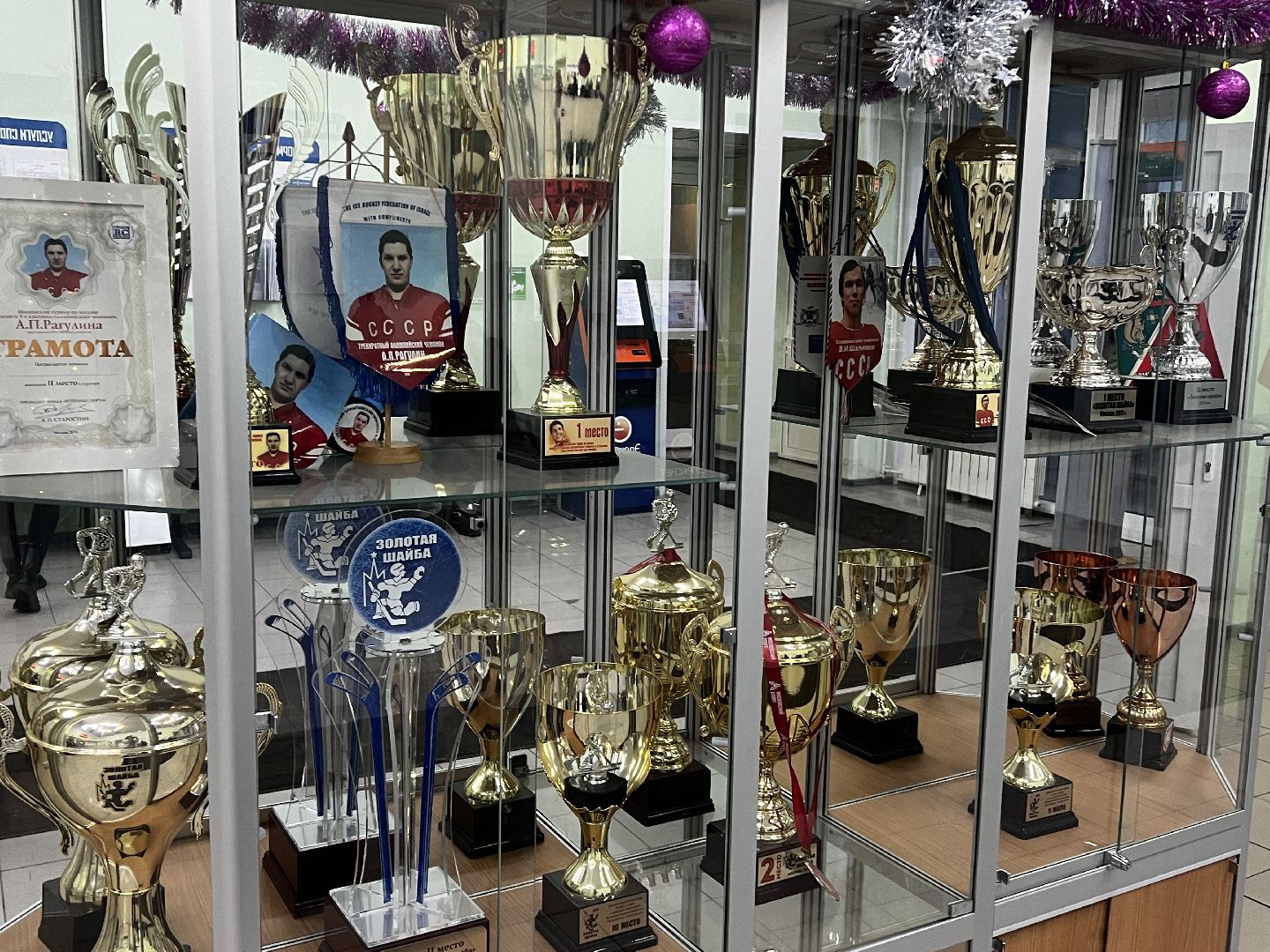 Солнечногорск, Спорт, Хоккей, ледовый дворец, хоккеисты, Победа,