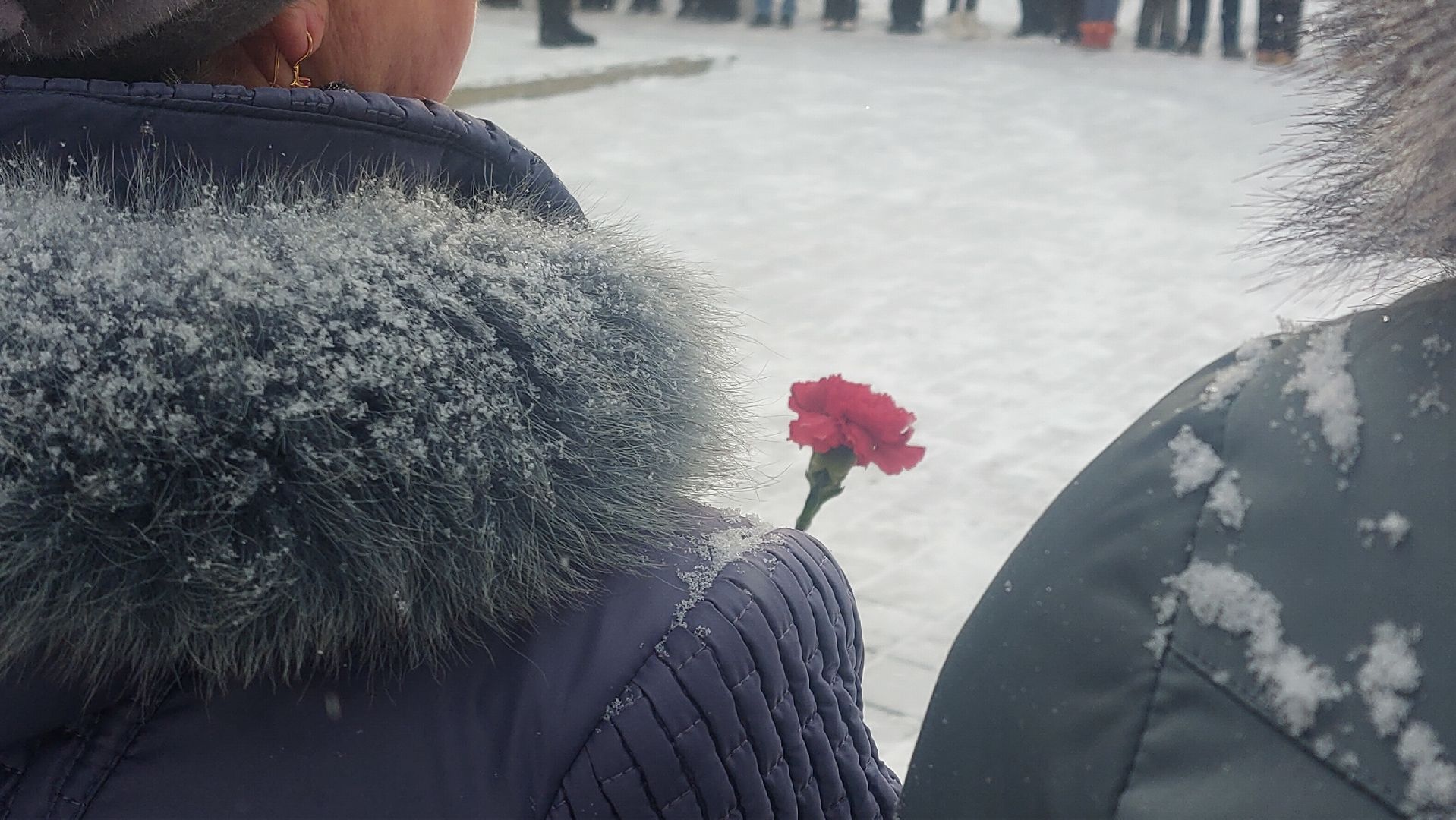 день героев отечества, герои города, культура подмосковья,