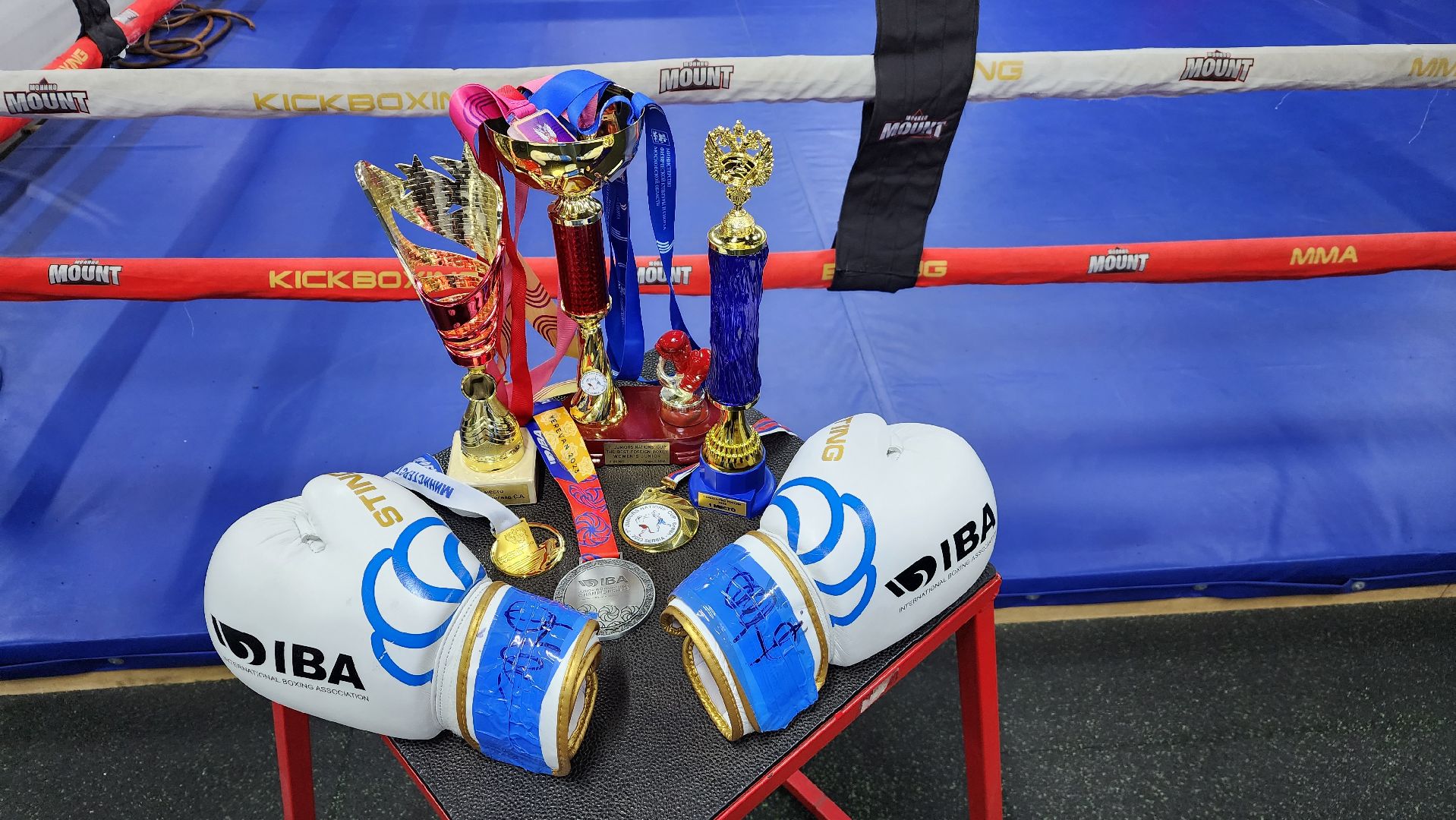 первенство мира по боксу, спорт, спортсменка, Лосино-Петровский, Подмосковье, Московская область, Федерация бокса России,