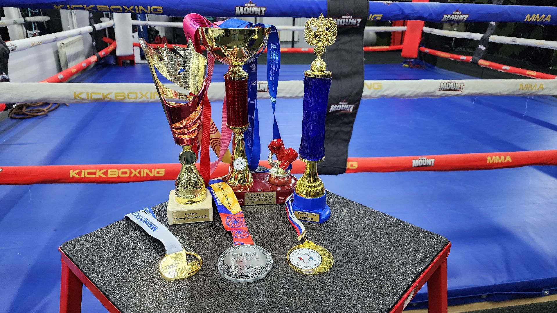 первенство мира по боксу, спорт, спортсменка, Лосино-Петровский, Подмосковье, Московская область, Федерация бокса России,