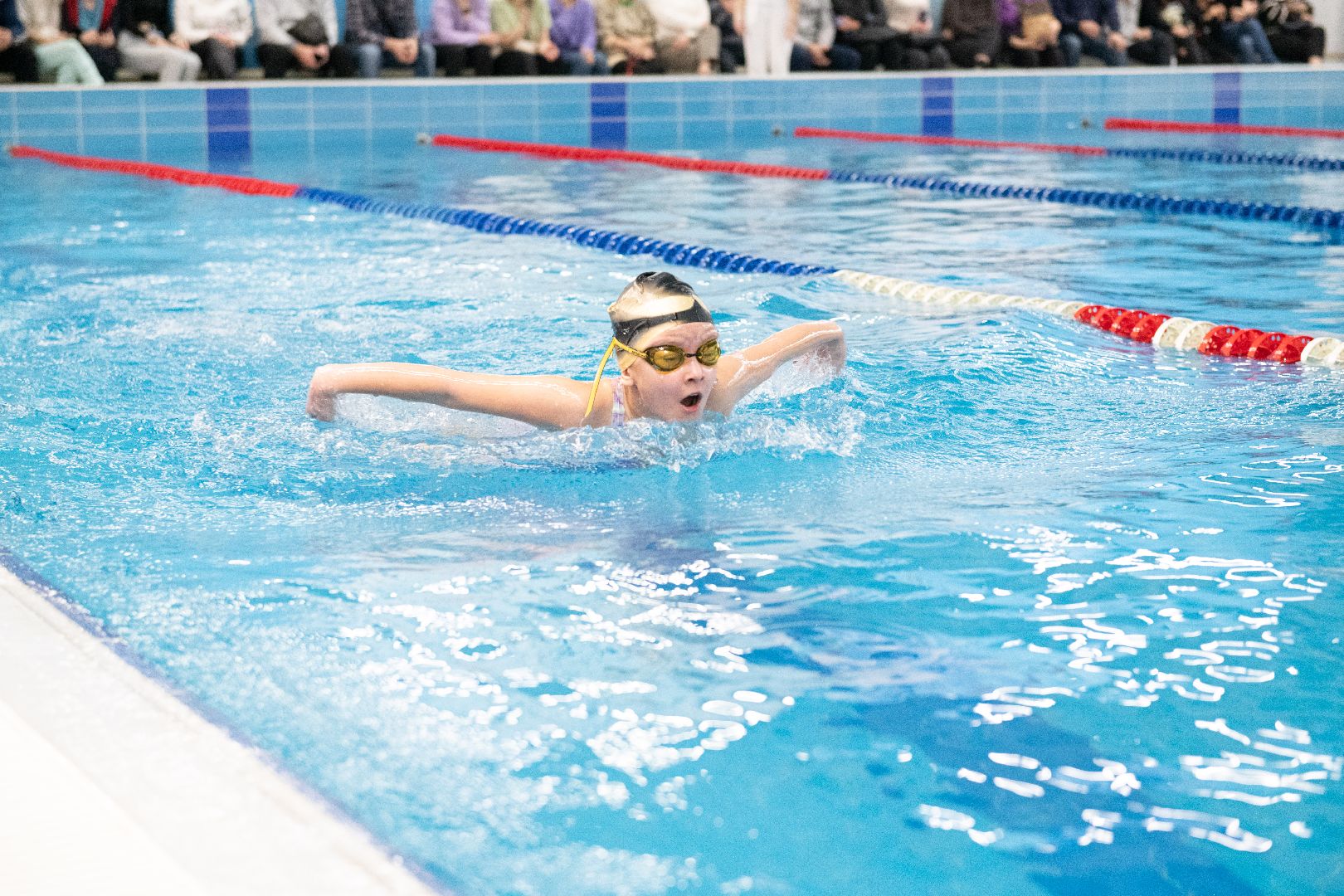 лыткарино, плавание, соревнования,