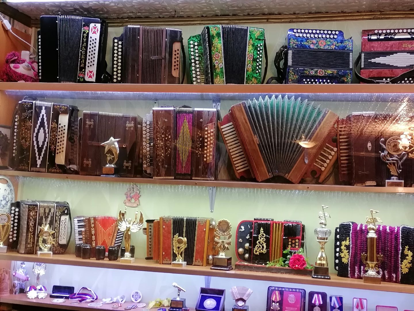 гармонист России, орехово-зуево,