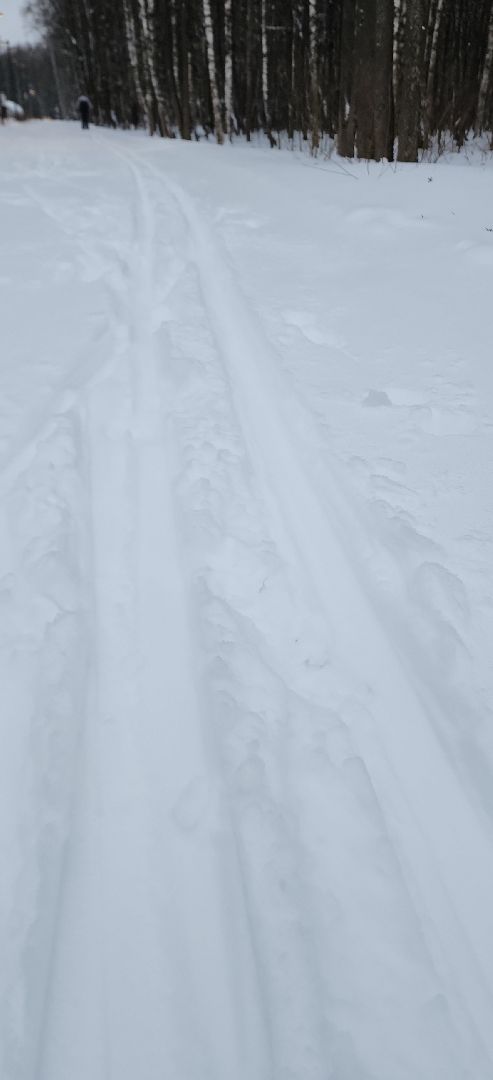 парк, лыжи, лыжня, лыжник, каток, каток в парке, зима, зимний сезон, зимний отдых,