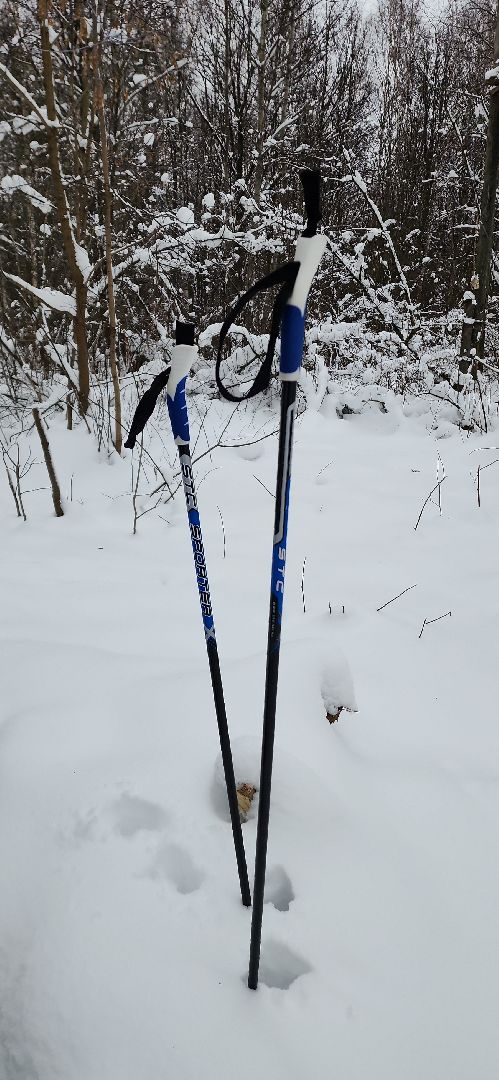 парк, лыжи, лыжня, лыжник, каток, каток в парке, зима, зимний сезон, зимний отдых,