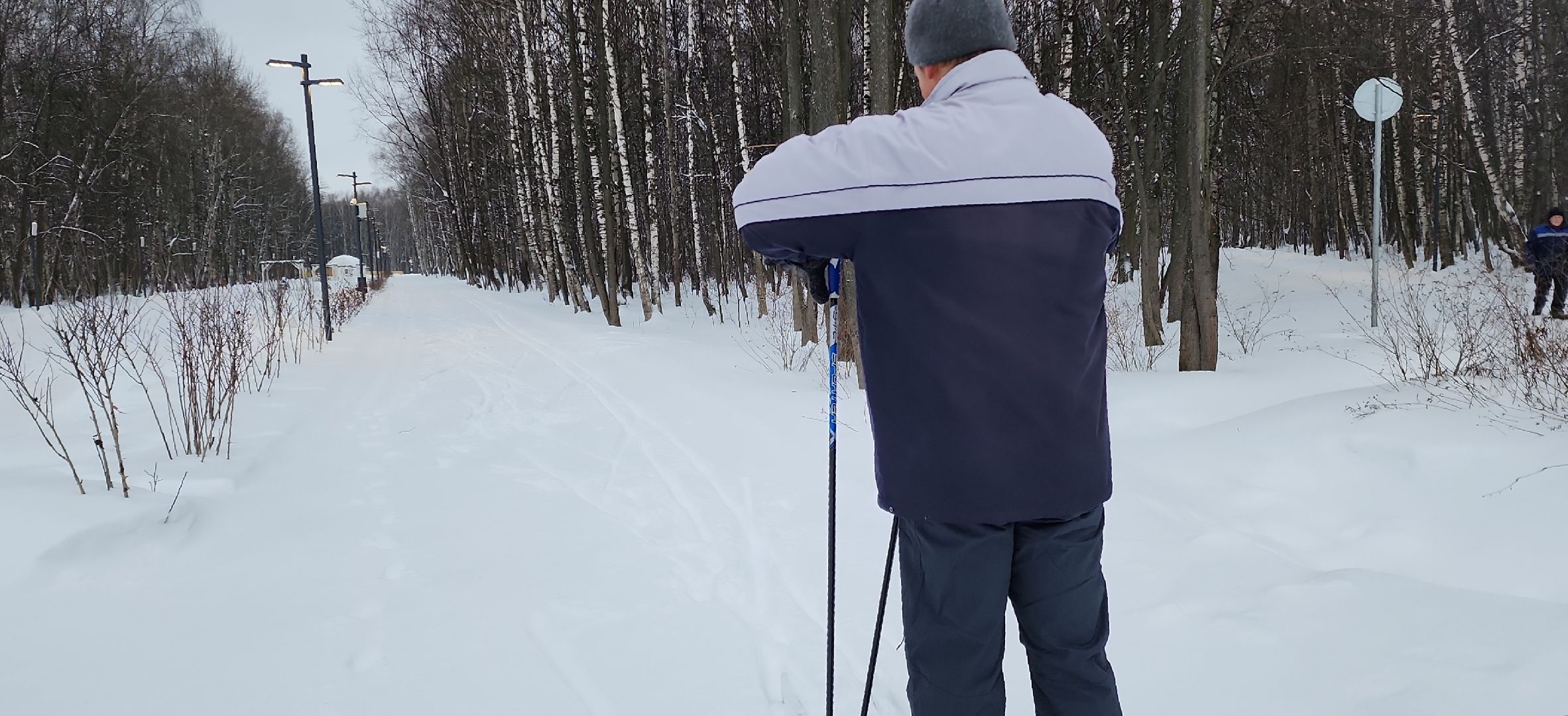 парк, лыжи, лыжня, лыжник, каток, каток в парке, зима, зимний сезон, зимний отдых,