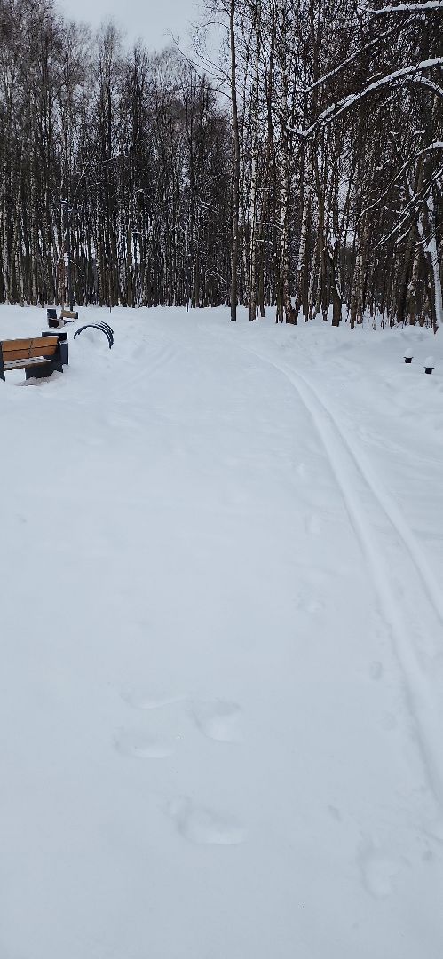 парк, лыжи, лыжня, лыжник, каток, каток в парке, зима, зимний сезон, зимний отдых,