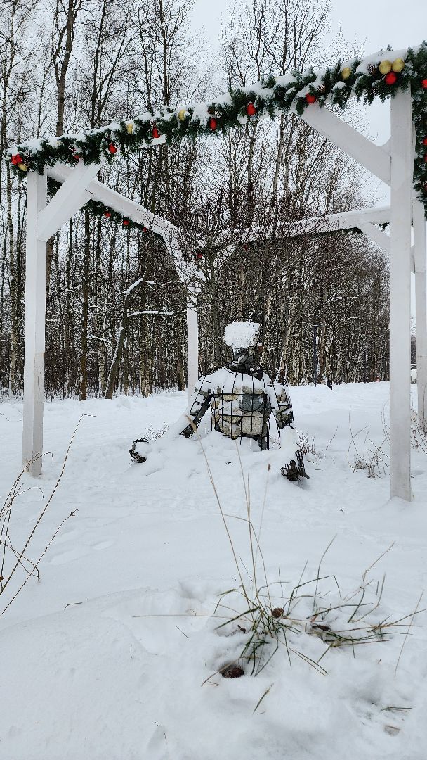 парк, лыжи, лыжня, лыжник, каток, каток в парке, зима, зимний сезон, зимний отдых,