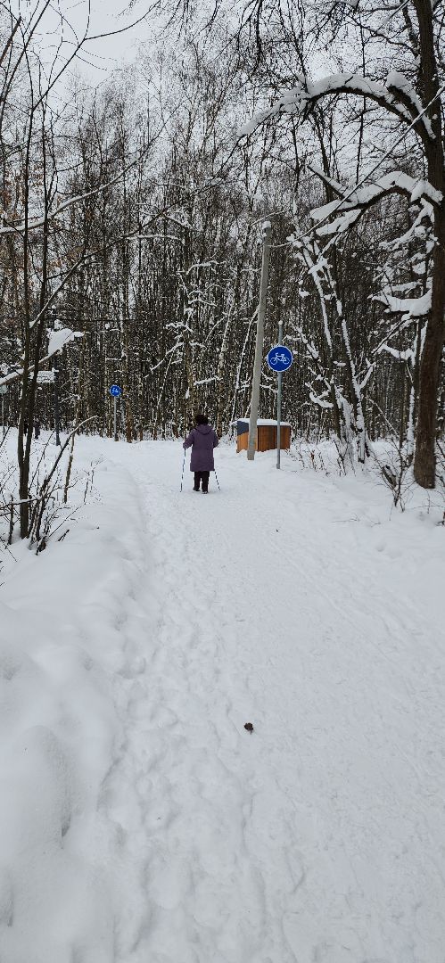 парк, лыжи, лыжня, лыжник, каток, каток в парке, зима, зимний сезон, зимний отдых,