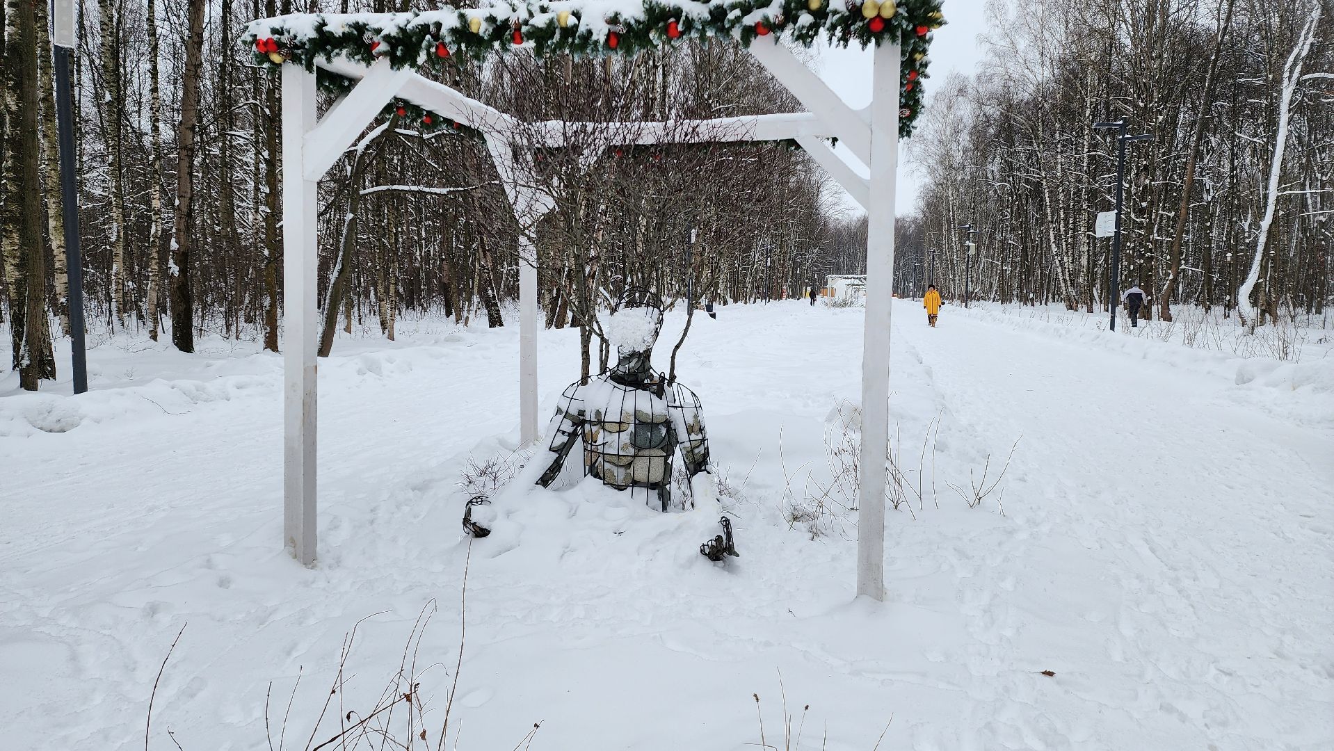 парк, лыжи, лыжня, лыжник, каток, каток в парке, зима, зимний сезон, зимний отдых,