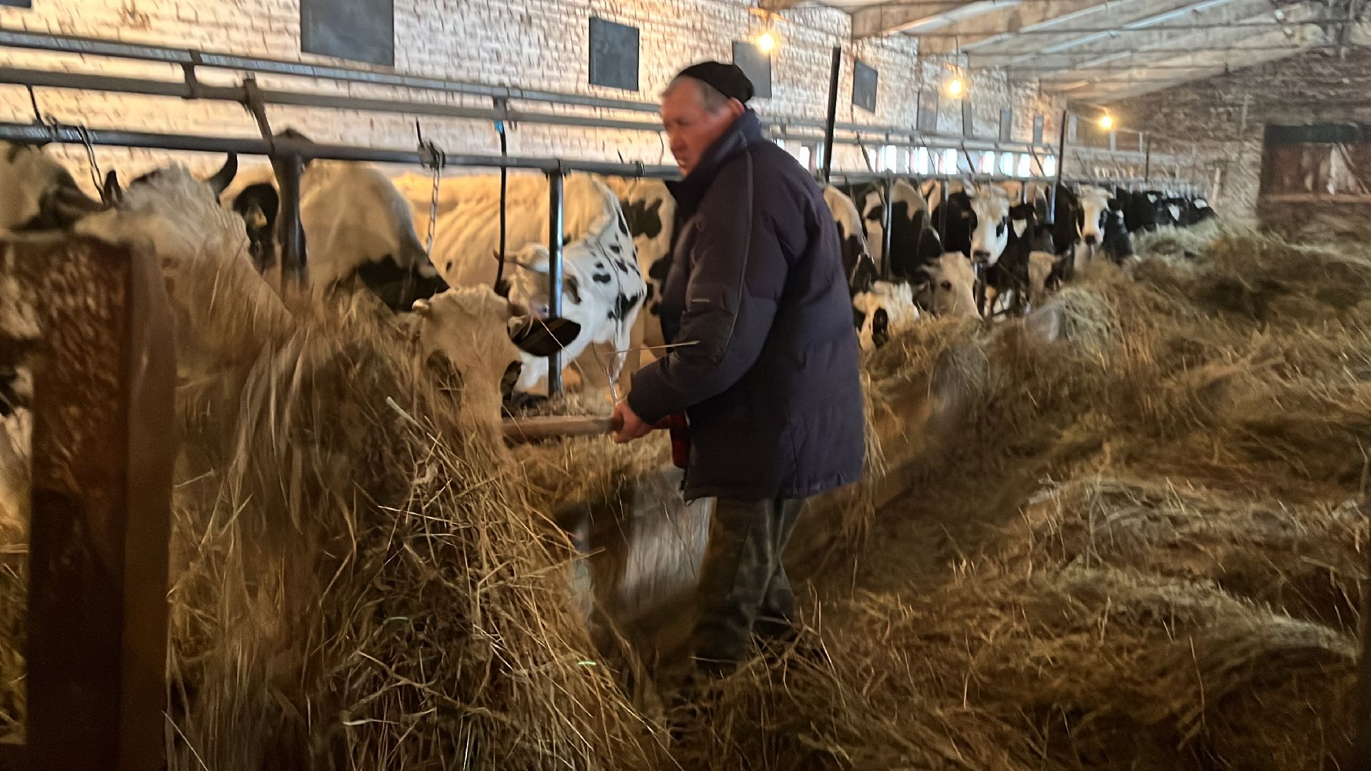 Волоколамск, фермер, Фермерское хозяйство,