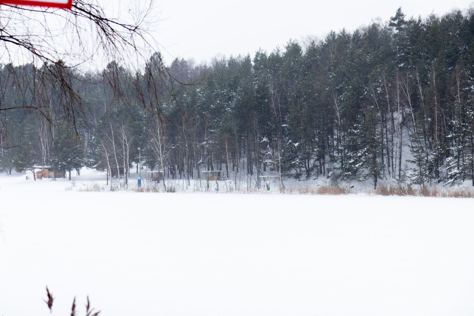 лыткарино, лед, волкуша,