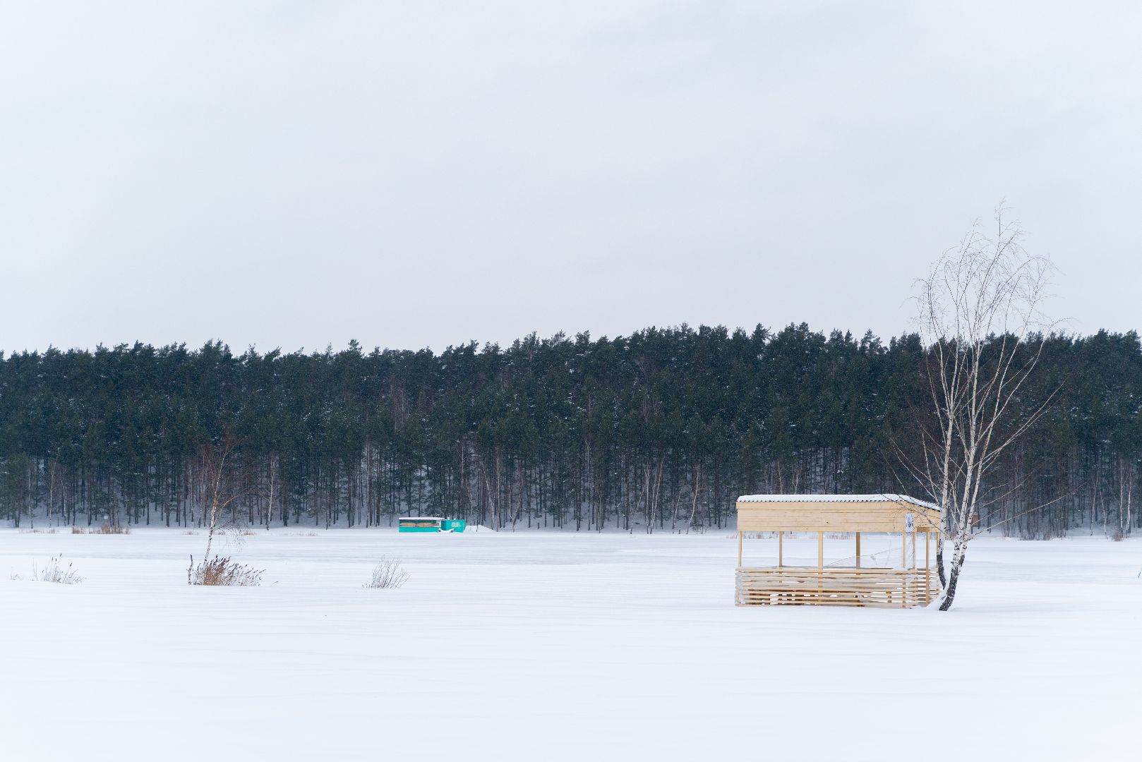 лыткарино, лед, волкуша,