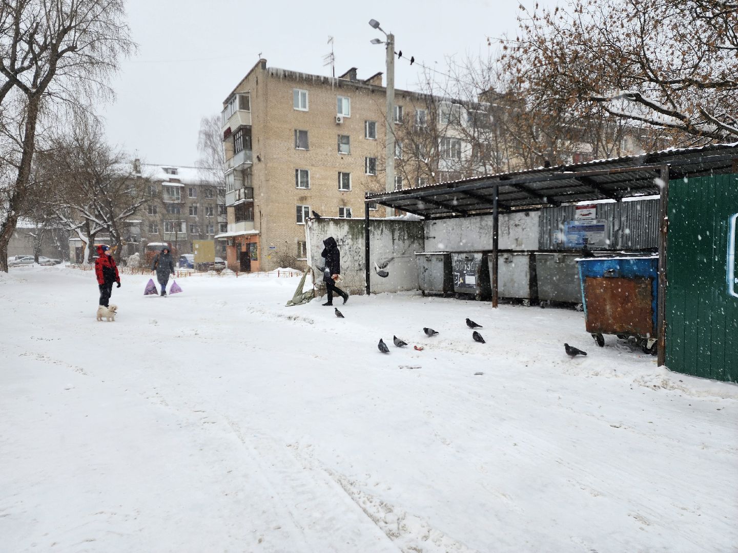Раменское, жкх, контейнерная площадка на улице Леволинейной в поселке Быково,