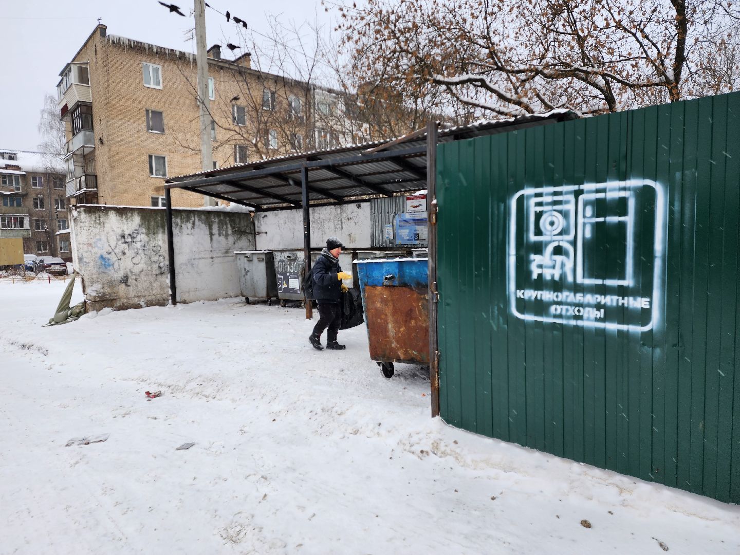 Раменское, жкх, контейнерная площадка на улице Леволинейной в поселке Быково,