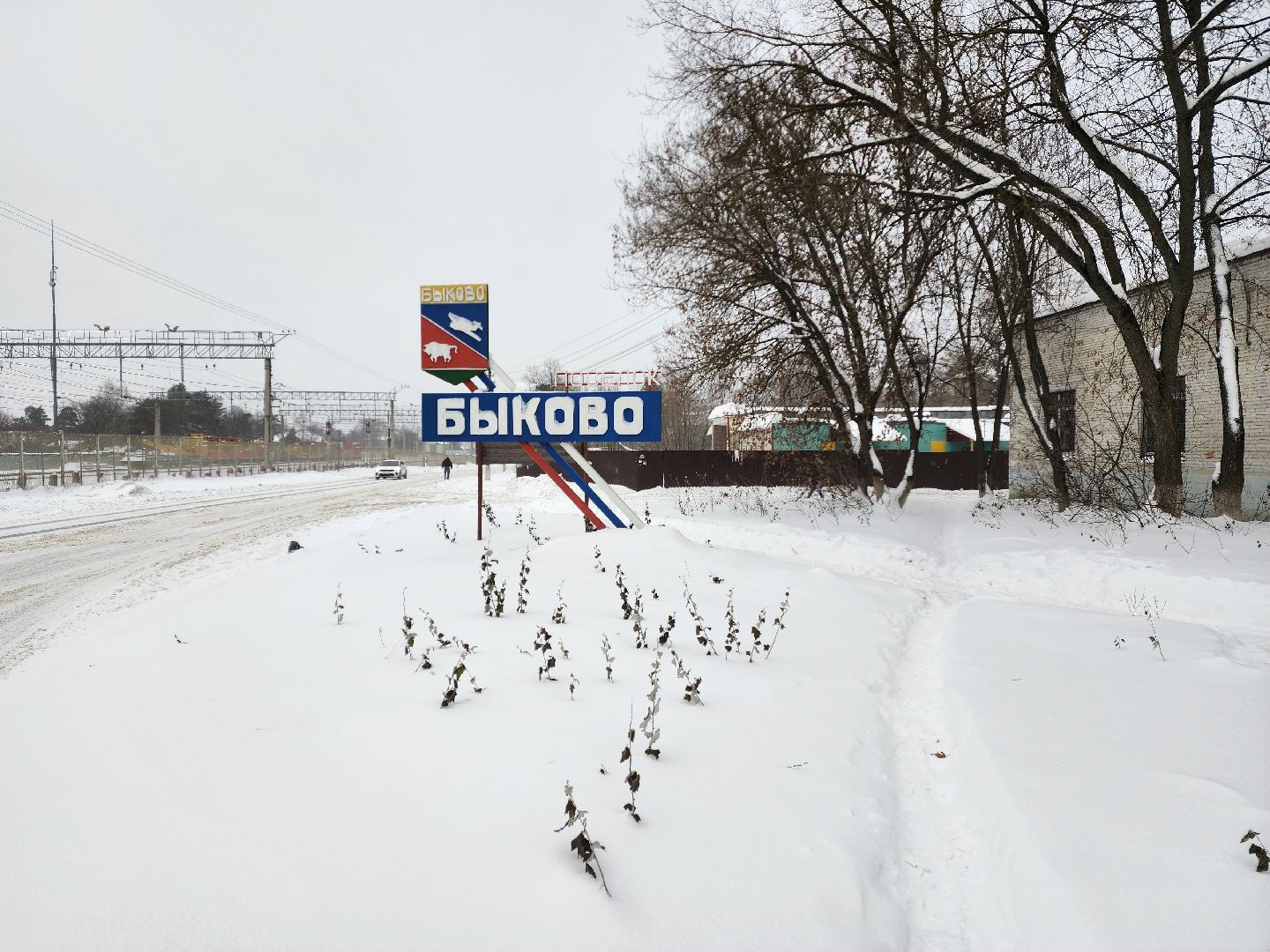 Раменское, жкх, контейнерная площадка на улице Леволинейной в поселке Быково,