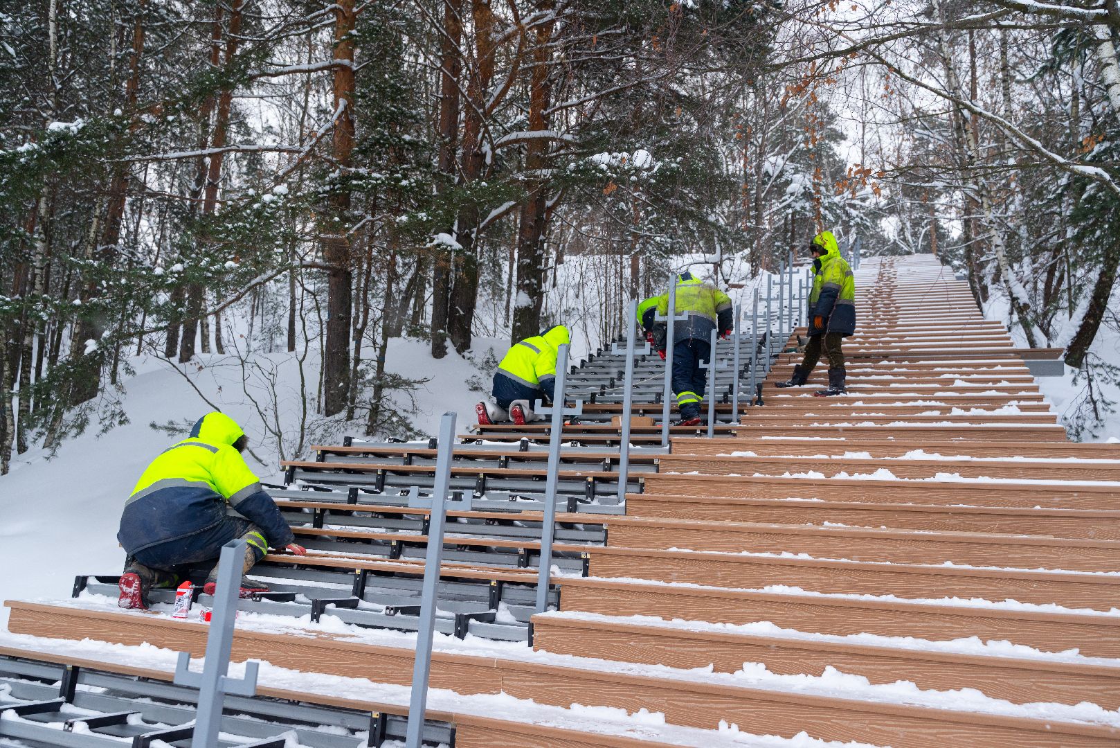 лыткарино, благоустройство, волкуша, лесопарк,