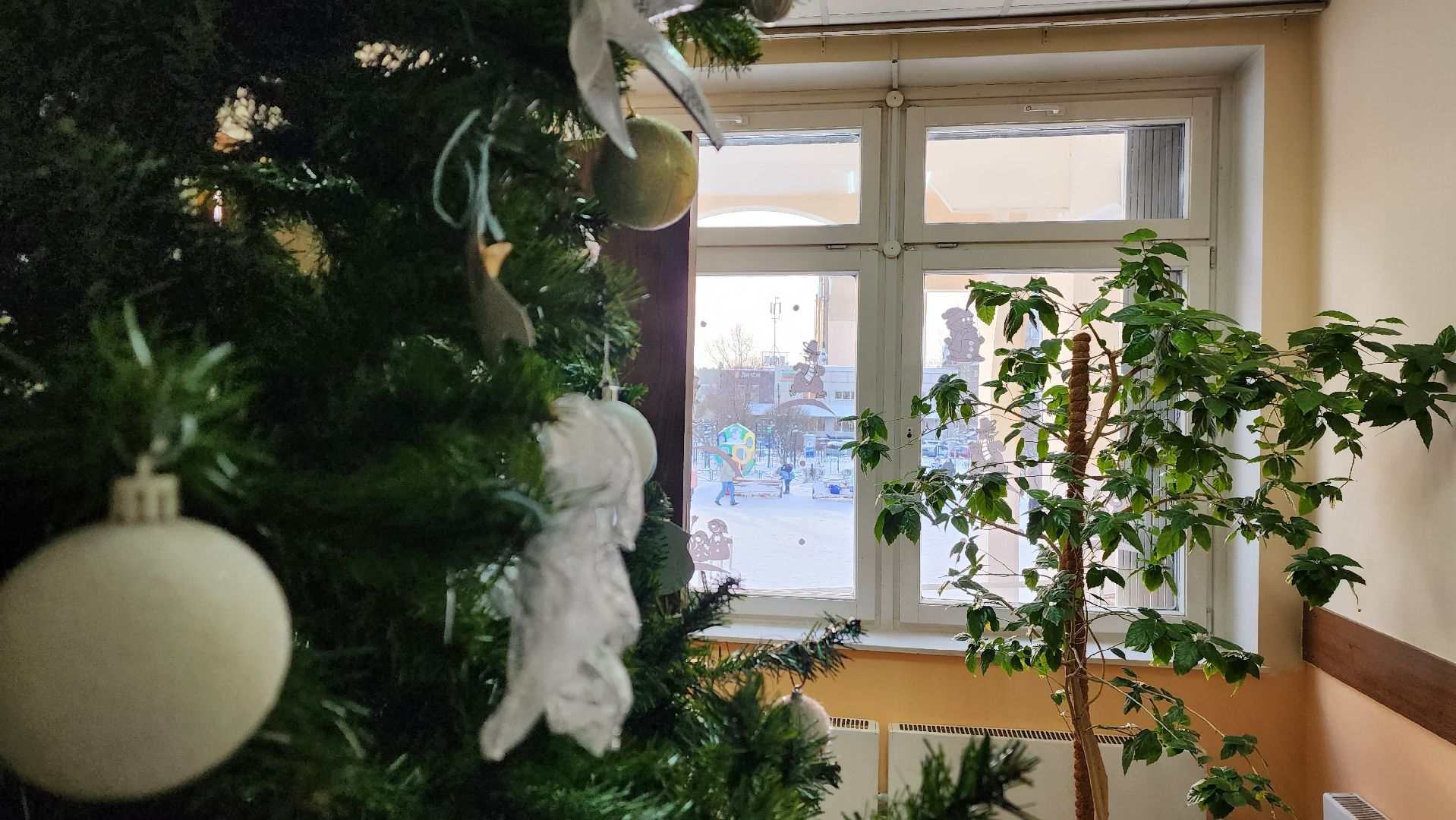 Подмосковье, Городской округ Пушкинский, Ивантеевка, образование, юбилей школы,