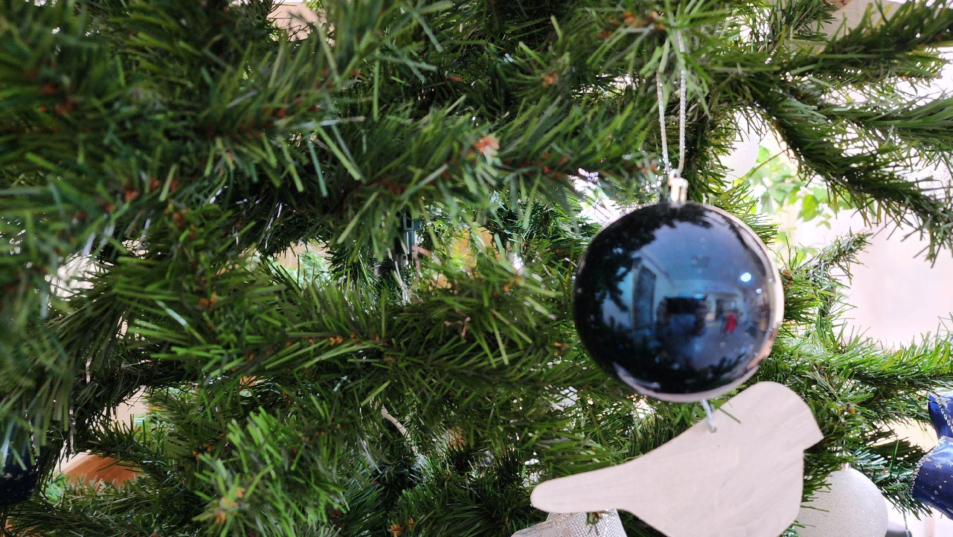 Подмосковье, Городской округ Пушкинский, Ивантеевка, образование, юбилей школы,