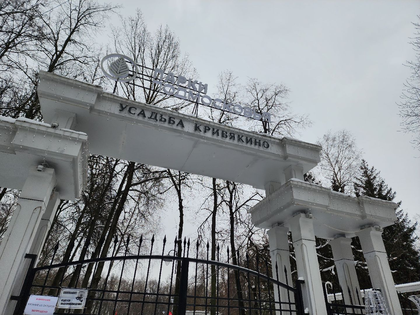 воскресенск, зима в подмосковье, новый год, парки подмосковья, кривякино, москворецкий,