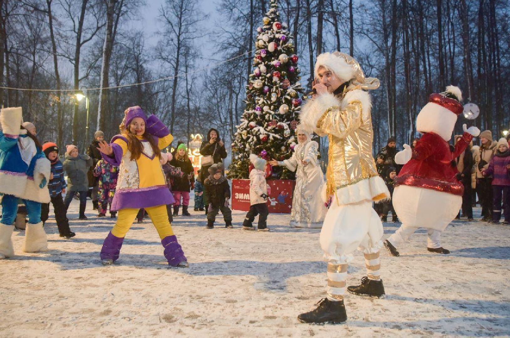 воскресенск, зима в подмосковье, новый год, парки подмосковья, кривякино, москворецкий,