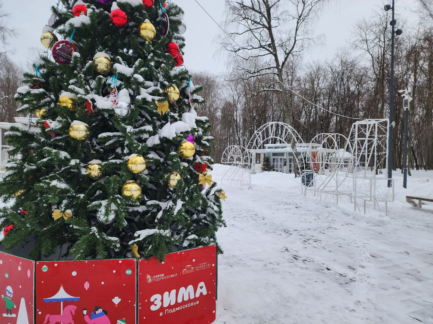воскресенск, зима в подмосковье, новый год, парки подмосковья, кривякино, москворецкий,