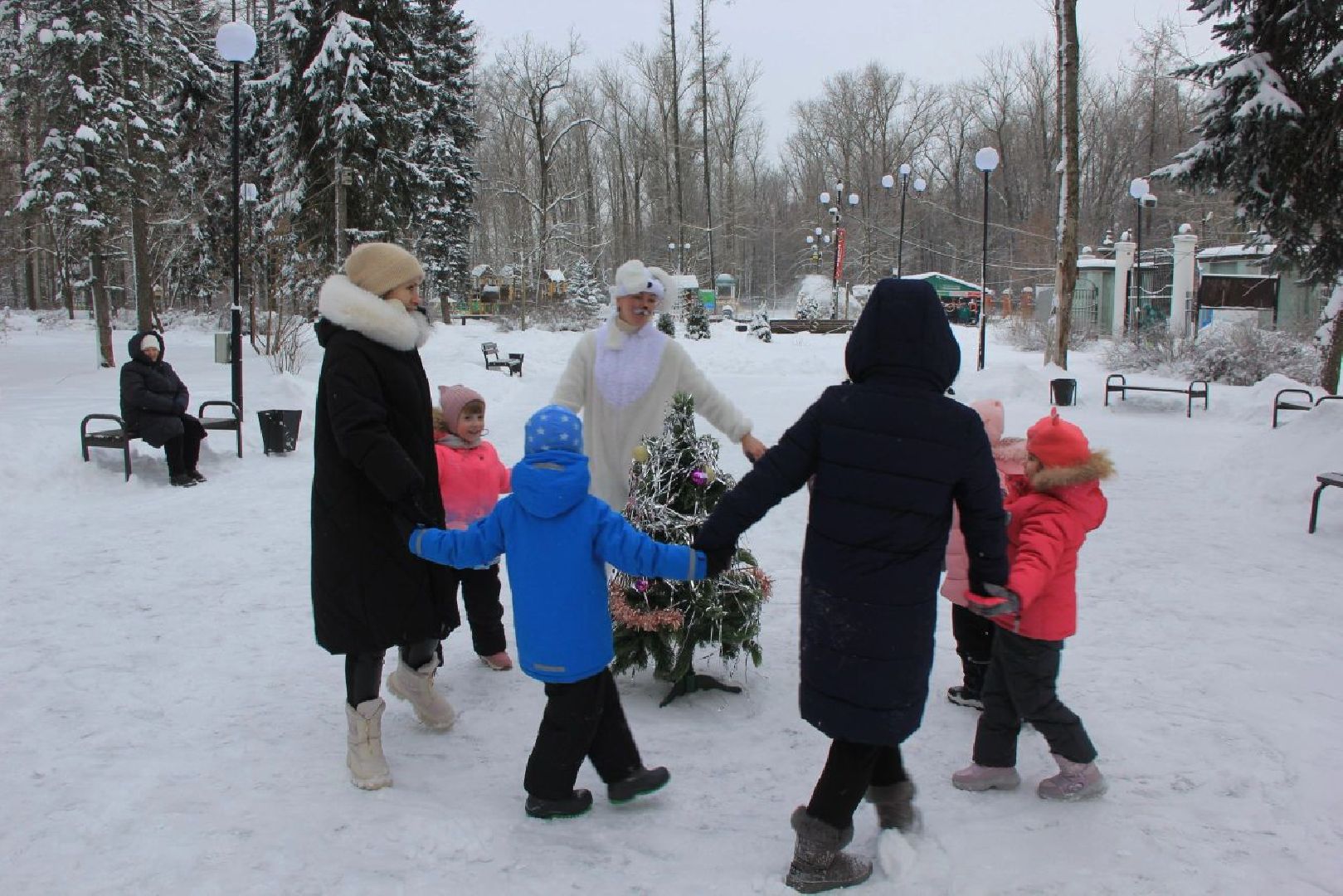 воскресенск, зима в подмосковье, новый год, парки подмосковья, кривякино, москворецкий,