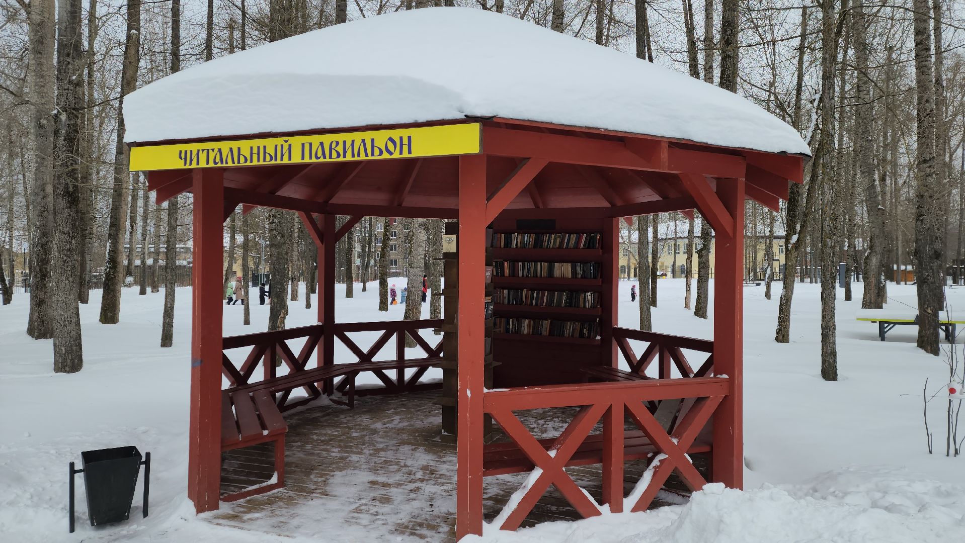 воскресенск, зима в подмосковье, новый год, парки подмосковья, кривякино, москворецкий,