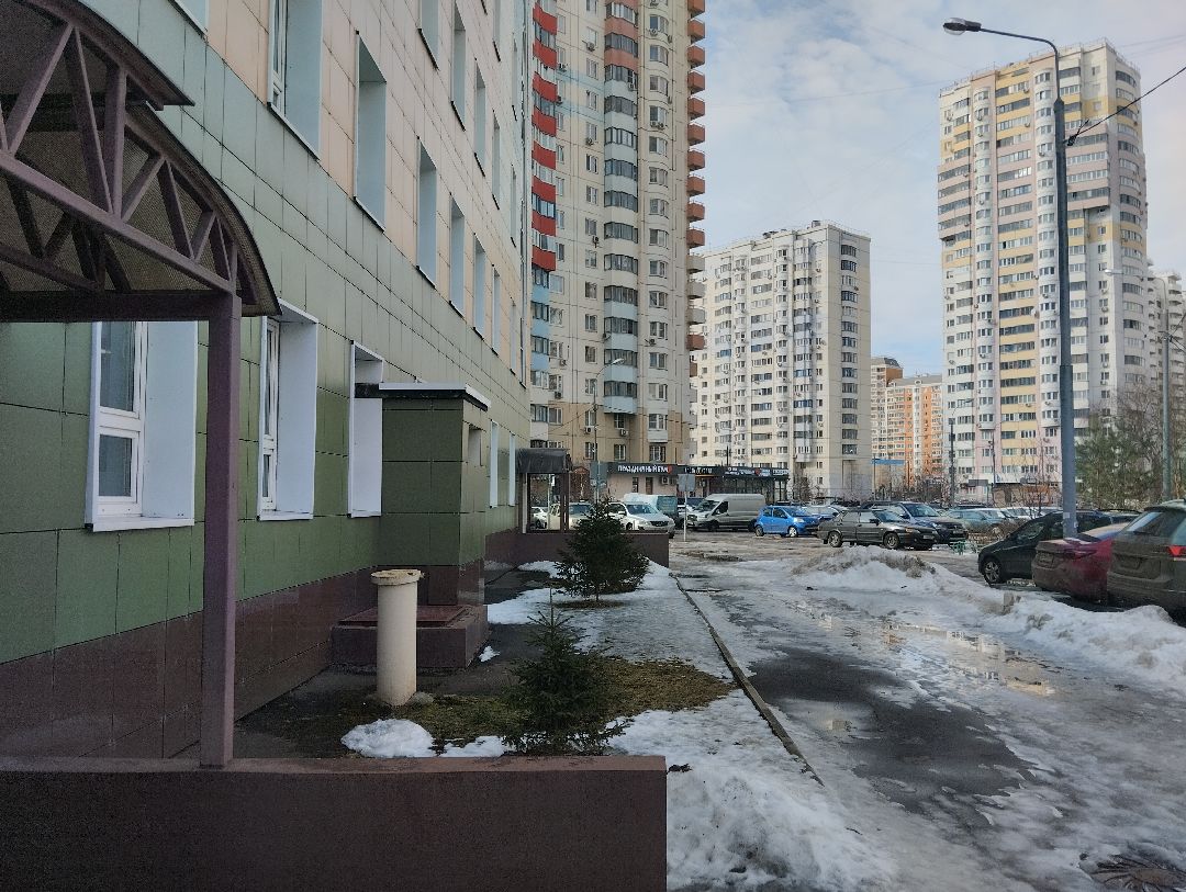 Озеленение, благоустройство