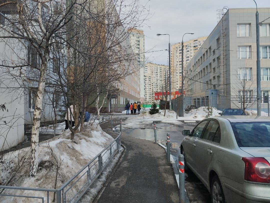 Озеленение, благоустройство