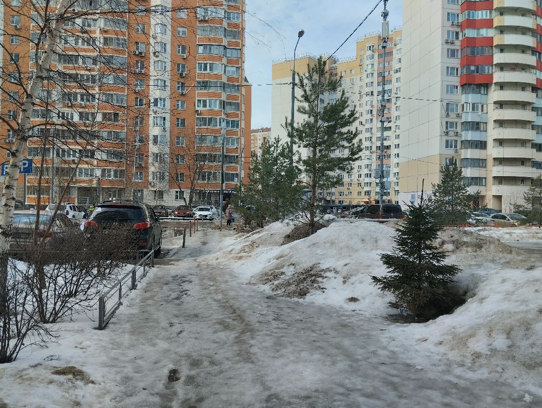 Озеленение, благоустройство