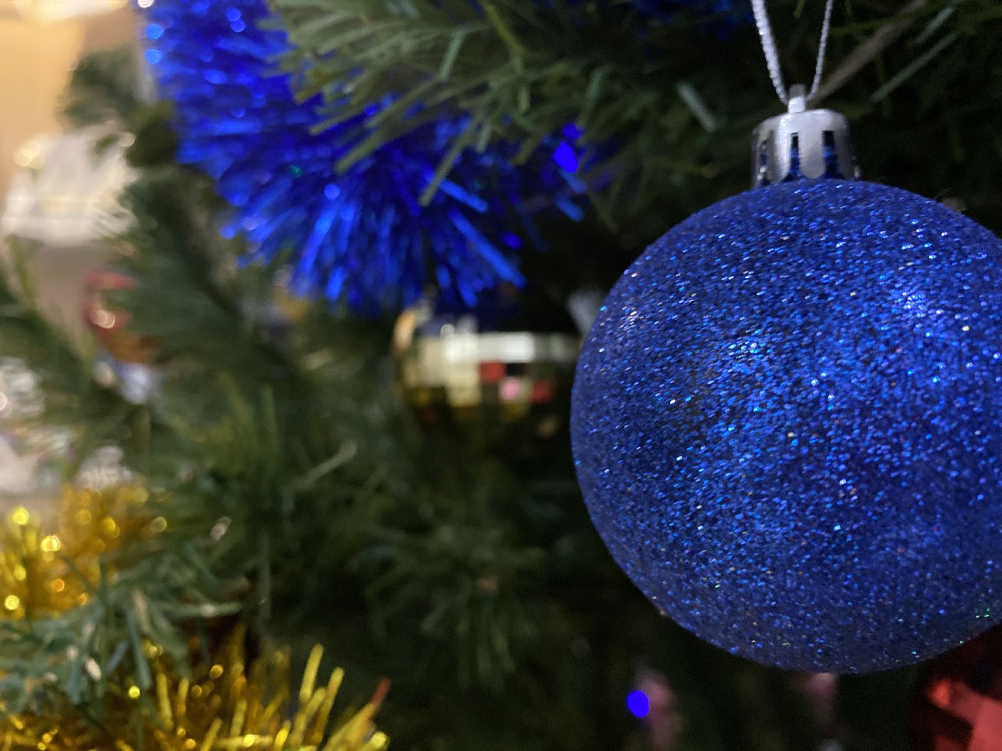 волоколамск, слепые, реабилитация, концерт, песни под гитару, инвалиды,